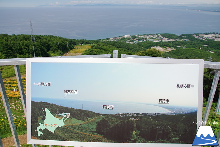 オーンズ春香山ゆり園 今年も綺麗な『ゆり』のシーズン到来♪